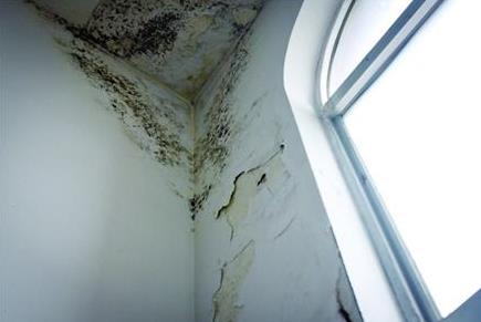 外墙防水涂料,防水材料,朗凯奇,外墙渗漏