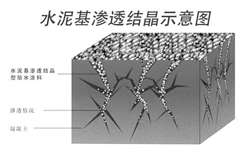 水泥基渗透结晶型防水材料,水泥基渗透结晶型防水涂料,朗凯奇防水,防水施工,混凝土结构自防水