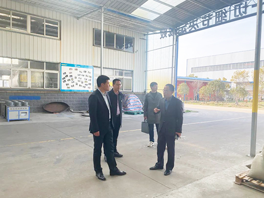 庐江县县委常委、同大镇政府领导一行莅临朗凯奇生产基地考察指导工作